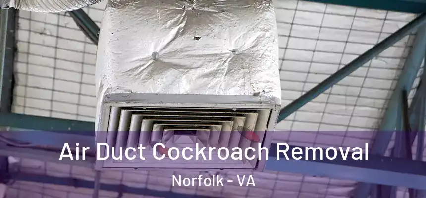 Air Duct Cockroach Removal Norfolk - VA