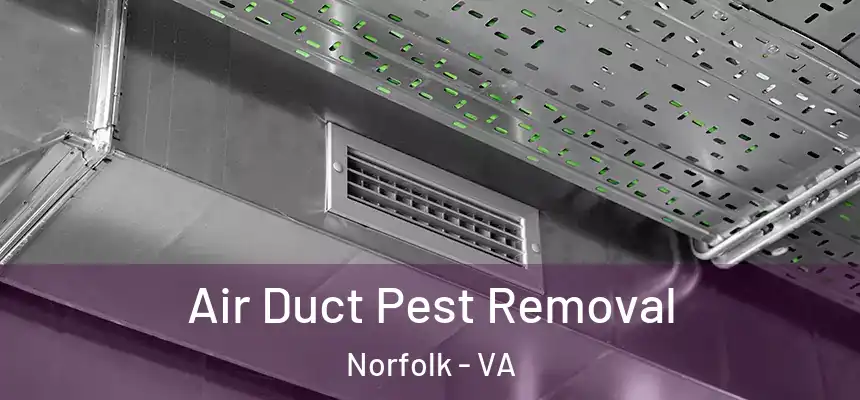 Air Duct Pest Removal Norfolk - VA