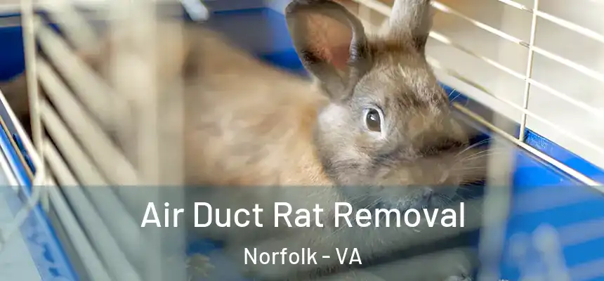 Air Duct Rat Removal Norfolk - VA