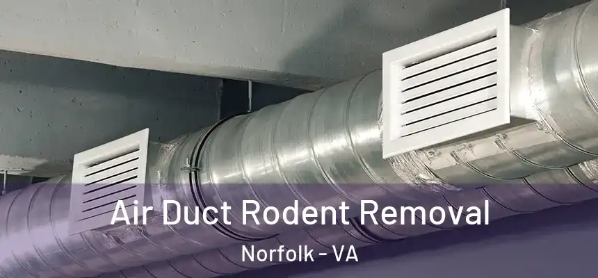Air Duct Rodent Removal Norfolk - VA