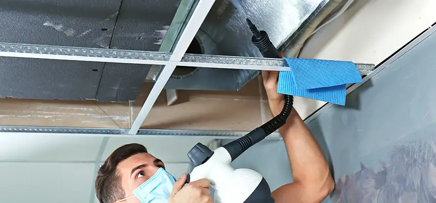 Our Air Duct Rodent Removal Services in Norfolk, VA