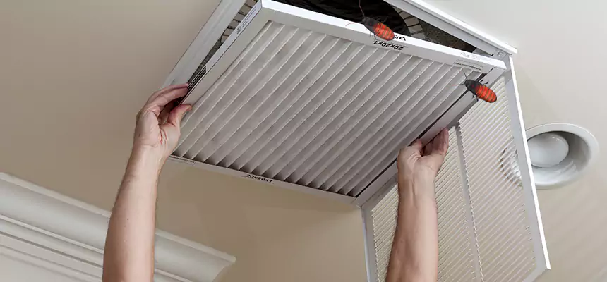 Our Insect Removal from Air Ducts Services in Norfolk, VA