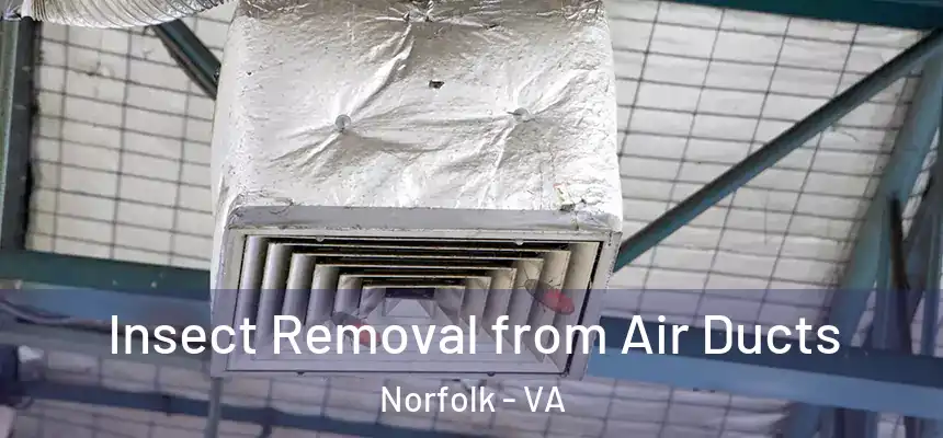 Insect Removal from Air Ducts Norfolk - VA