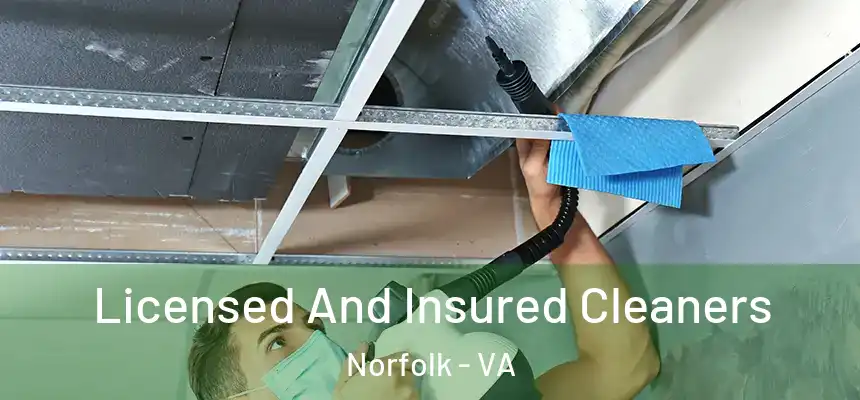 Licensed And Insured Cleaners Norfolk - VA