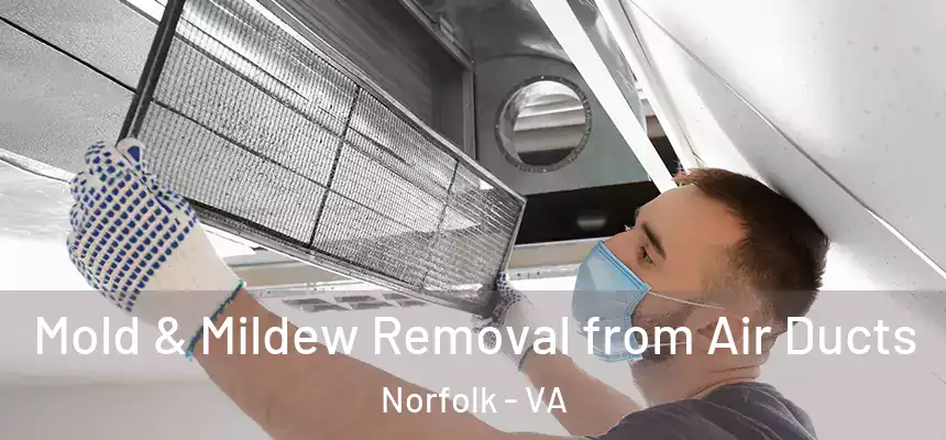 Mold & Mildew Removal from Air Ducts Norfolk - VA