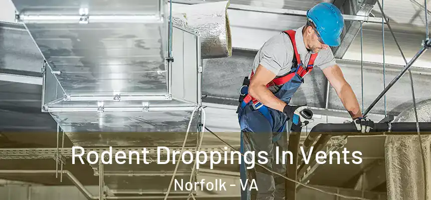 Rodent Droppings In Vents Norfolk - VA