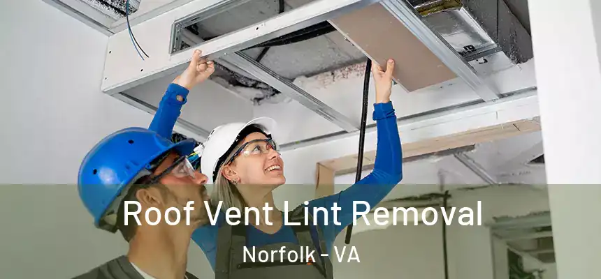  Roof Vent Lint Removal Norfolk - VA