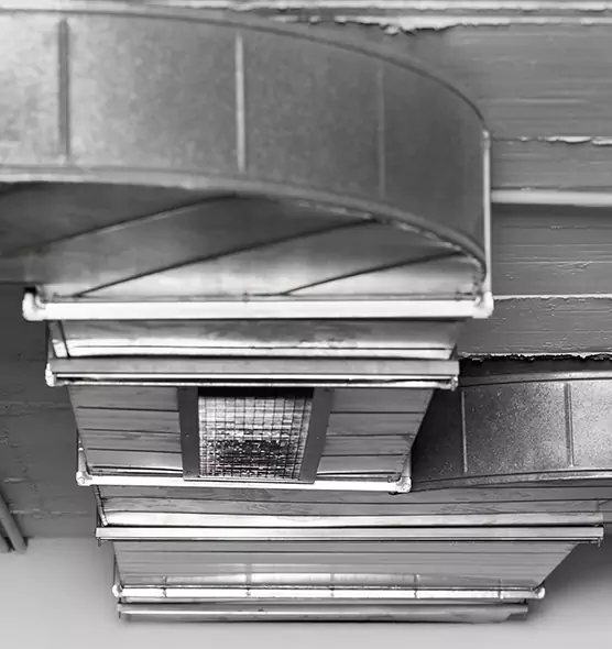 Professional Air Duct Pest Removal in Norfolk, VA