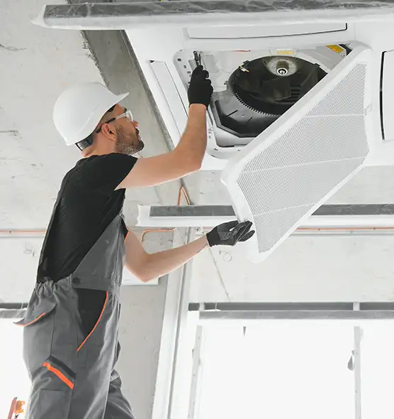 About Air Duct Rodent Removal in Norfolk, VA