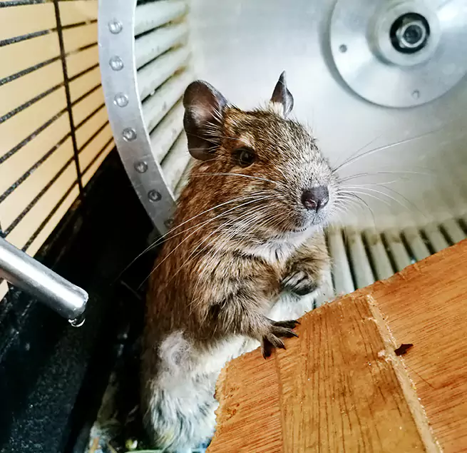 Why Homeowners & Businesses Trust Us Norfolk, VA