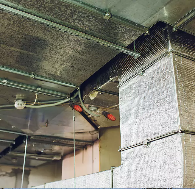 Why Homeowners & Businesses Trust Us Norfolk, VA?