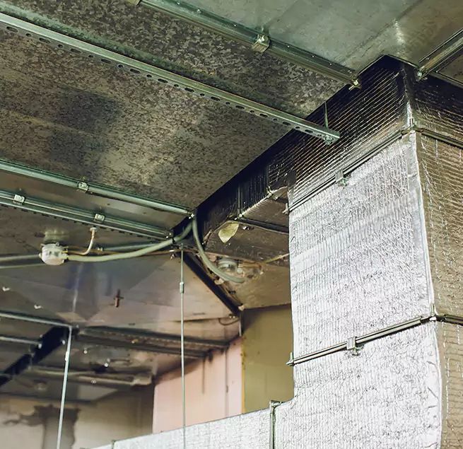 Why Homeowners & Businesses Trust Us in Norfolk, VA?